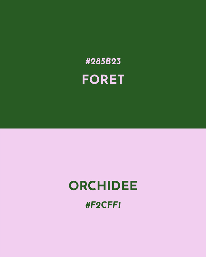 idée d'assemblage de couleur : vert foret + rose orchidée